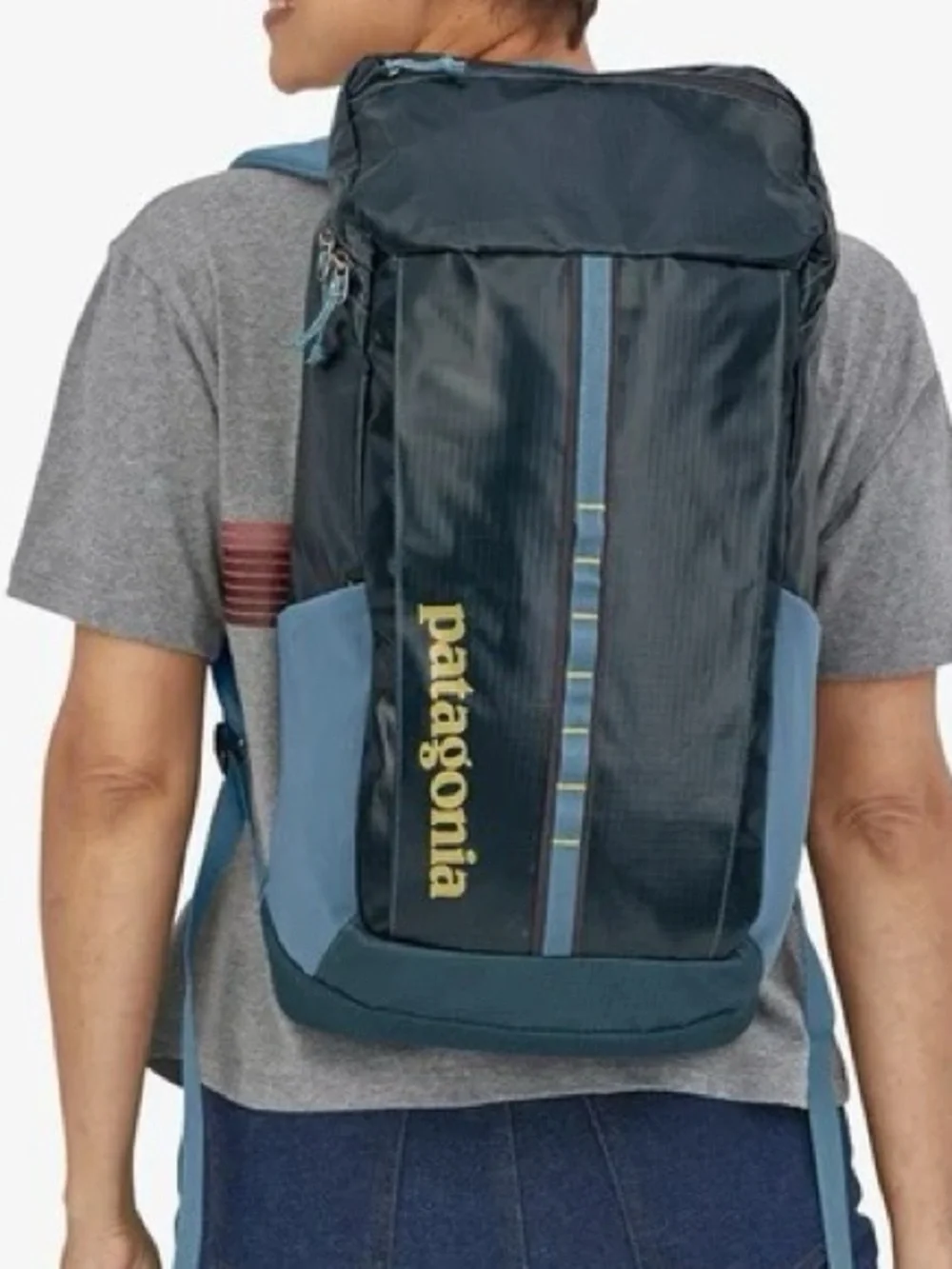 Patagonia Black Hole Pack 25L